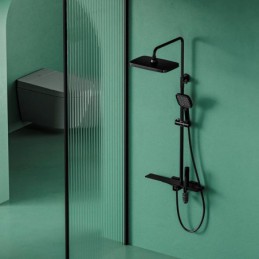 Contemporary Brass Shower...