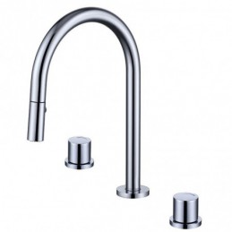 Contemporary Dual Handles...