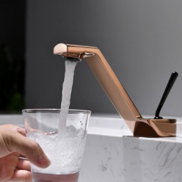 Designer Elegant Brass...