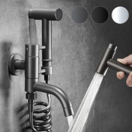 Designer Elegant Toilet...